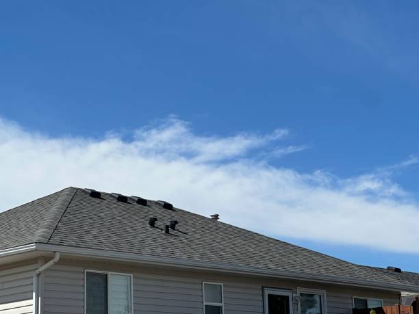Best Roof Moss and Algae Removal  in Pataskala, OH
